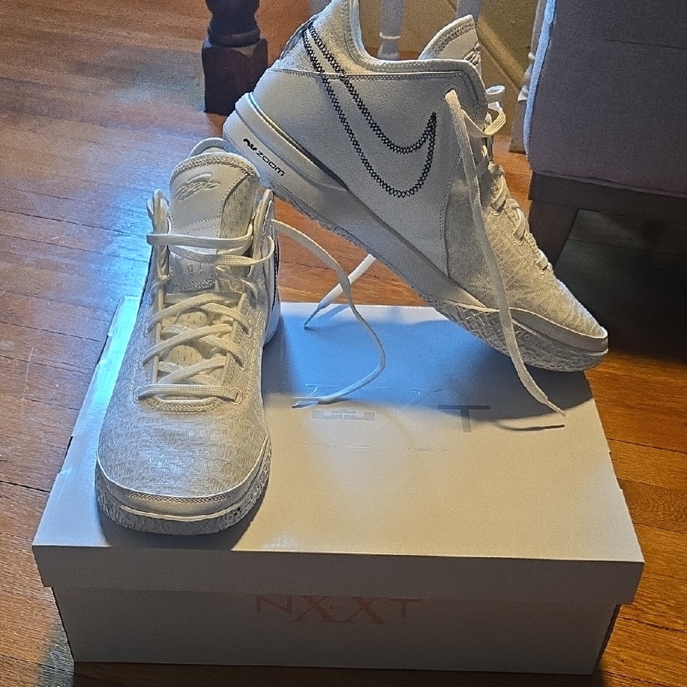 Zoom Lebron Nxxt Gen Sneakers